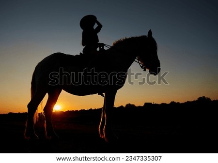Horseback woman riding on galloping horse with red rising sun on horizon. Beautiful colorful sunset header background with equine and girls silhouette.