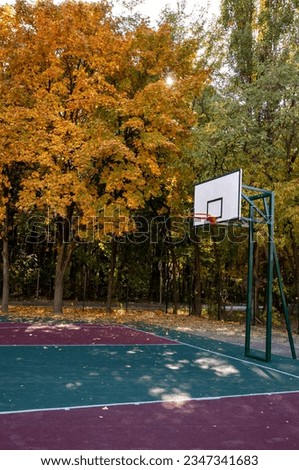 basketball outdoor. sport activity. seasonal leaves and trees. natural landscape in autumn. autumn beauty of nature. fall season. nature in forest. autumn forest. nature in fall season.