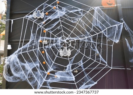 Pumpkin and Spider web decoration on wall in Halloween day.
