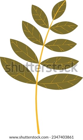 Hand Drawn Autumn Leaf Element