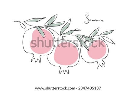 Branch with pomegranates and leaves. Shana Tova. Modern single line art drawing. Continuous line drawing