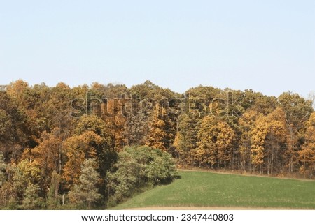 Hill with Forest in Autumn Colors