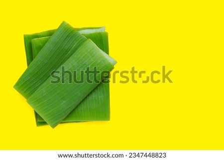 Banana leaves on yellow background.