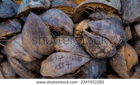 Texture of opened coconut shells