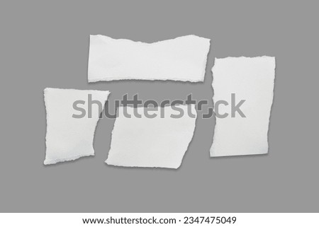 White ripped note,Torn paper edges for background. Ripped paper texture on transparent background. isolated on white background with clipping path.