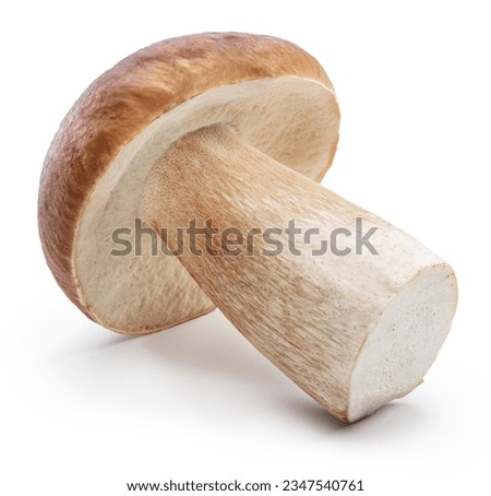 Porcini mushroom on white background. File contains clipping path.