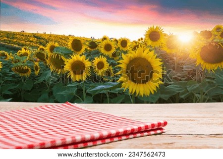Sunflower on the wooden table. Sunflower field landscape and sunset mountains. High quality photo