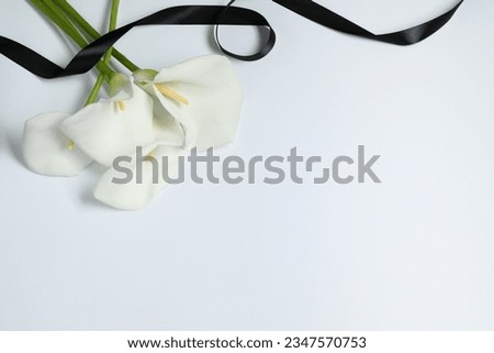 Beautiful calla lilies and black ribbon on white background, closeup with space for text. Funeral symbol Royalty-Free Stock Photo #2347570753