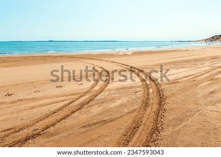 Car tread marks on the beach Royalty-Free Stock Photo #2347593043