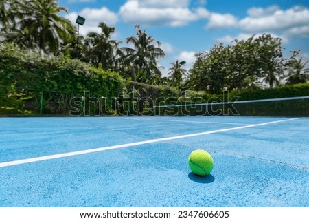 Amazing sport and recreational background. Blue tennis court on tropical landscape, palm trees and blue sky. Sports in tropic concept. Empty tennis court in summer sunrise sun light, outdoors. Royalty-Free Stock Photo #2347606605