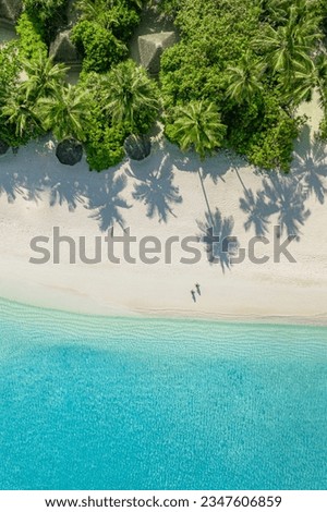 Aerial top view on sand beach. Tropical beach with white sand turquoise sea, palm trees under sunlight. Drone view, luxury travel destination scenic, vacation landscape. Amazing nature paradise island Royalty-Free Stock Photo #2347606859