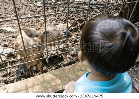 Kids with blue shirt and deer on the zoo cage at Tahura , Bunder, Gunundkidul