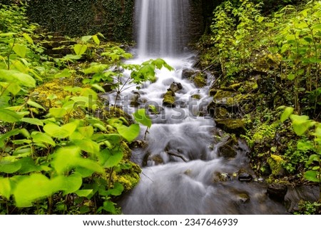 Waterfall and creek or brook in Iserlohn Sauerland Germany after heavy rain. Long time exposure of falling and flowing water in motion with wet rocks, stones and bright green springtime vegetation. Royalty-Free Stock Photo #2347646939