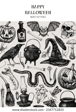 Vintage Halloween banner design. Hand drawn vector illustration. Skull, bones, pumpkin, poisonous mushrooms, snakes, raven sketch. Halloween party invitation, flyer, poster, book cover, card template