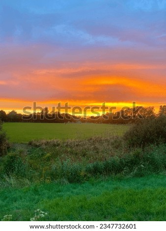 Beautiful Sunset with Orange Sky over a nature reserve