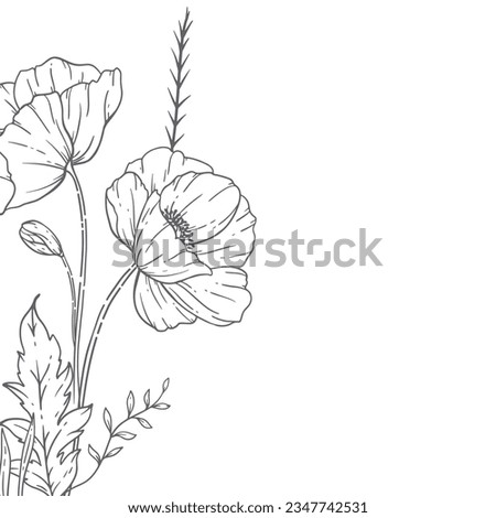 Poppy Flower Line Art, Fine Line Poppy Bouquets Hand Drawn Illustration. Coloring Page with Flowers. 