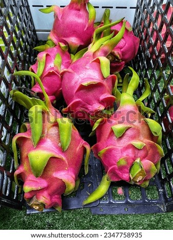a pile of some fresh dragon fruit