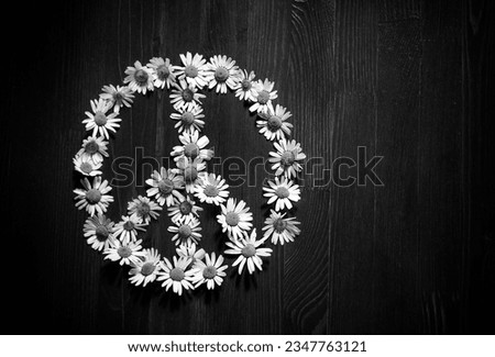Peace symbol of beautiful daisy flowers on a wooden background. Symbol of pacifism