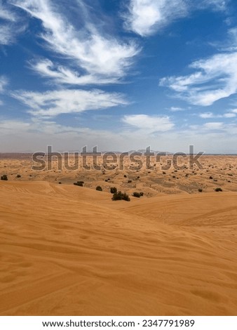 Dubai desert. Nature. Sands, dunes.
