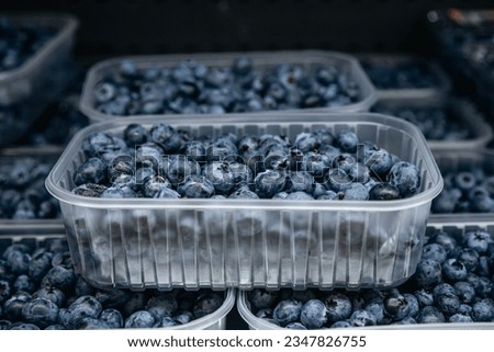 Box or crate with many containers with freshly collected blueberries.