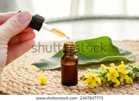 Woman take homemade herbal medicinal tincture made of Verbascum thapsus, the great mullein, greater mullein or common mullein. Yellow flower branch with pipette bottle composition. Royalty-Free Stock Photo #2347837773