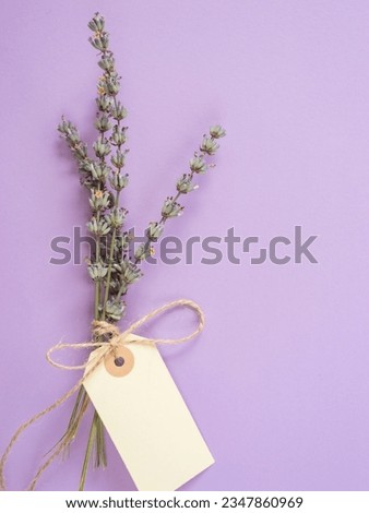 Dry lavender sprigs, paper tag, label on a plain lilac background with copy space. Lavender - Essential oil source, antiseptic, beauty product ingredient, moth repellent.