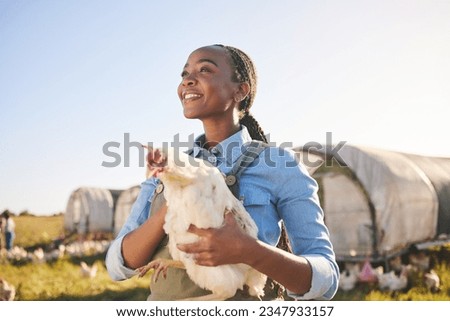 Farm, agriculture and black woman with chicken in field, countryside or nature for protein, growth or ecology. Agro business, sustainable farming and farmer and bird for free range poultry production Royalty-Free Stock Photo #2347933157