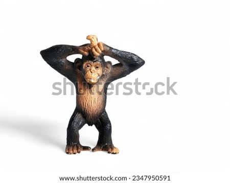 Chimpanzee raising his hand over a miniature animal isolated on white