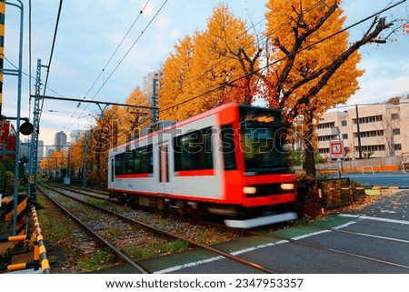 A tramcar of Toden Arakawa Line (Tokyo Sakura Tram) dashing thru a level crossing by a row of Ginkgo trees (Gingko, Maidenhair ) with leaves turning into golden color in autumn season in Tokyo, Japan Royalty-Free Stock Photo #2347953357