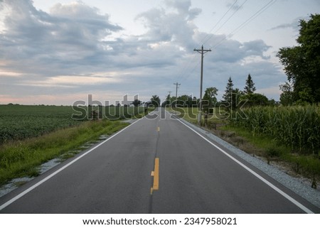 A rural road in Dayton Ohio with farm and bean fields and telephone poles with trees in the background and a house