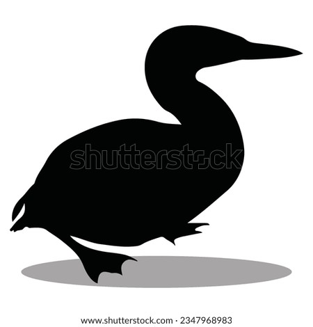 Loon  silhouette, Loon Vector illustration, Loon isolated on white background																									