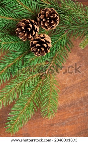 spruce branch with cones on a wooden table