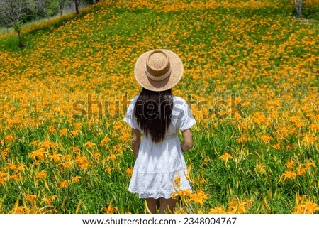 Travel woman go Flower field of beautiful orange daylily in Taimali Kinchen Mountain in Taitung of Taiwan Royalty-Free Stock Photo #2348004767