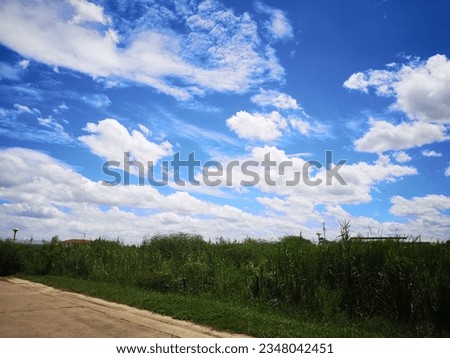 Green meadow and blue sky with white clouds