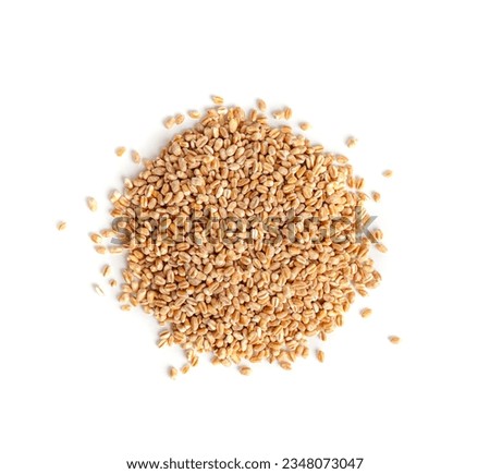 Wheat Grains Isolated, Barley Pile, Dry Cereal Seeds for Bread, Spelta Healthy Organic Food, Wheat Grains Heap on White Background Top View Royalty-Free Stock Photo #2348073047