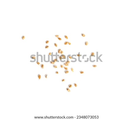 Wheat Grains Isolated, Scattered Barley, Dry Cereal Seeds for Bread, Spelta Healthy Organic Food, Wheat Grains Heap on White Background Top View Royalty-Free Stock Photo #2348073053