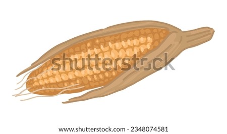 Clipart of corn cob. Doodle of autumn agricultural harvest. Cartoon vector illustration isolated on white background.