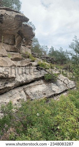 Photo rocky slope, rock, stones, layered stone, pine forest, wallpaper, background, screensaver