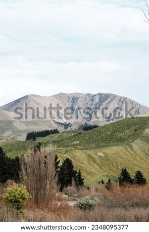 A rugged mountain located in Blenheim New Zealand. In the image is grass, sheep and a rugged landscape