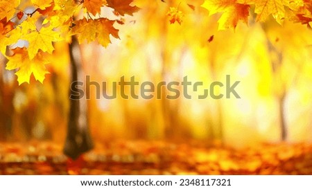 Beautiful orange and yellow autumn leaves against a blurry park in sunlight with beautiful bokeh. Natural autumn background. Royalty-Free Stock Photo #2348117321