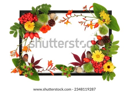Autumn Thanksgiving Fall background design with flowers, berry fruit, nuts with black frame on white. Festive floral nature concept for label, card, invitation, menu.