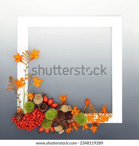 Autumn Thanksgiving Samhain nature background frame design with crocosmia lily flowers, berry fruit and nuts with white frame on gradient gray. Greeting card, menu, invitation, label design.