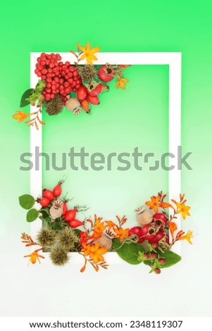 Autumn Fall Thanksgiving festive nature background frame with flowers, leaves, berry fruit, nuts with white frame on gradient green white. Greeting card, menu, invitation, label design.
 