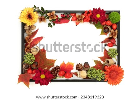 Autumn flora and fauna Thanksgiving background design with leaves, flowers, nuts, berry fruit on white with black frame  Composition for card, invitation, label, gift tag.
