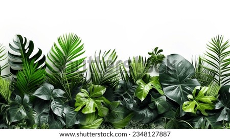 Green leaves of tropical plants bush floral arrangement indoors garden nature backdrop isolated on white background Royalty-Free Stock Photo #2348127887