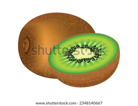 Fresh juicy green kiwi fruit icon vector isolated on a white background. Whole, half, slice kiwifruit icon set vector. Tropical fruit drawing. Vitamin C food sources design element