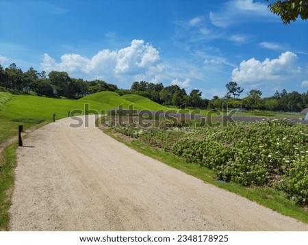Korean park scenery with dirt road and beautiful view