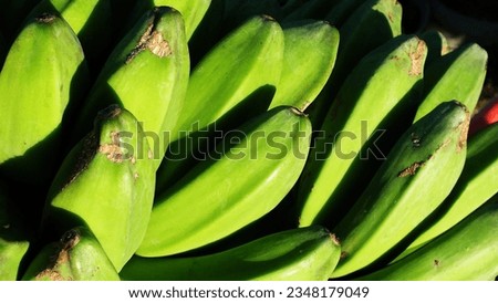 a picture of green unripe bananas
