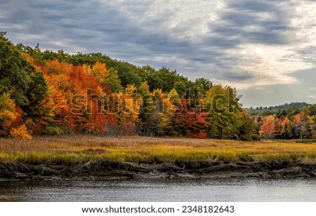 Autumn forest on the river bank. Forest river in autumn. Autumn forest river. Autumn river forest landscape Royalty-Free Stock Photo #2348182643