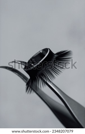 Close up of tweezers with ring of black artificial eyelashes hanging on tip, against gray background. Tool for lash extension that separating cilia and assisting create glamour look. Vertical. Royalty-Free Stock Photo #2348207079
